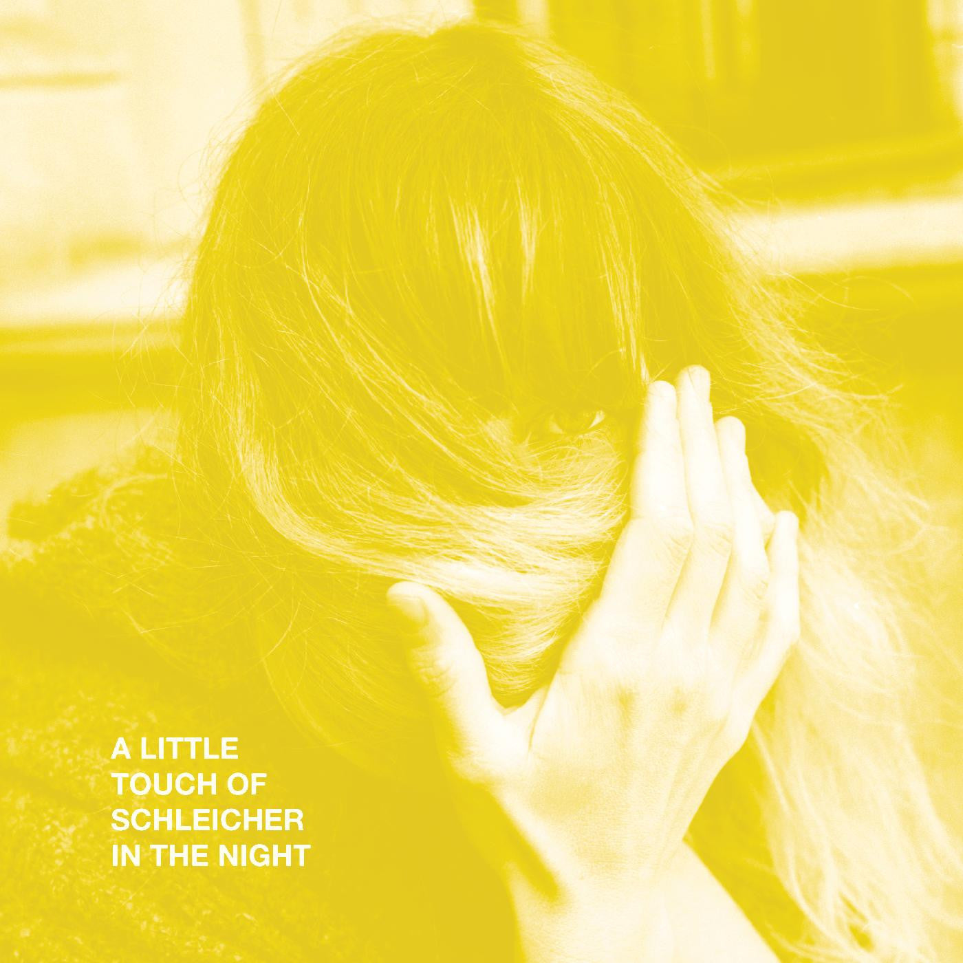 von Schleicher, Katie - A Little Touch of Schleicher in the Night | - ALT/INDIE *NEW*