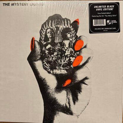 The Mystery Lights (VINYL) | - ALT/INDIE *NEW*