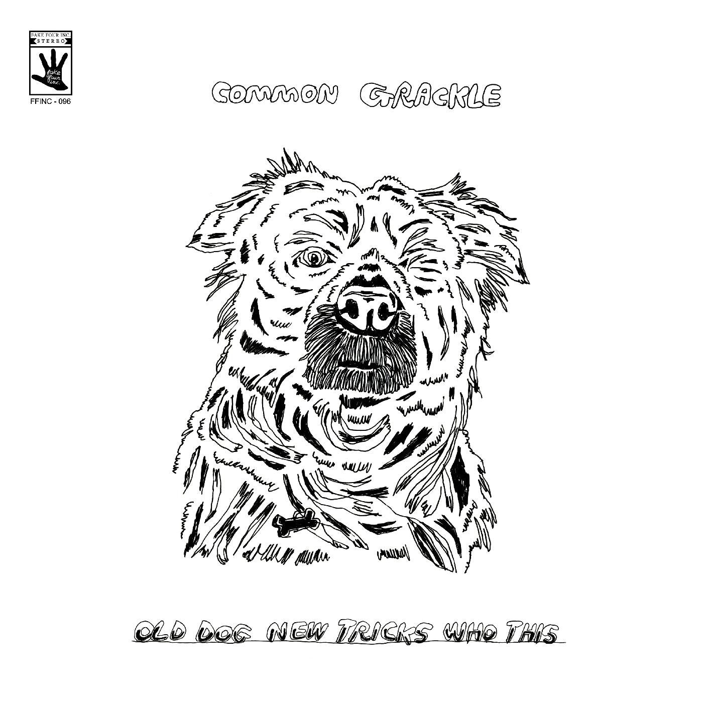 Common Grackle - Old Dog New Tricks Who This | - ALT/INDIE *NEW*