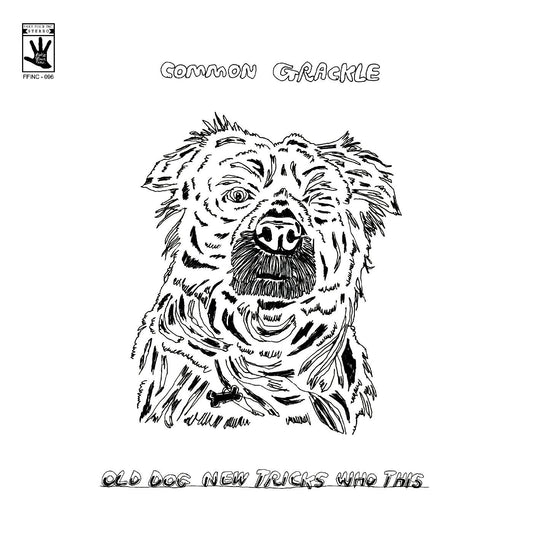 Common Grackle - Old Dog New Tricks Who This | - ALT/INDIE *NEW*