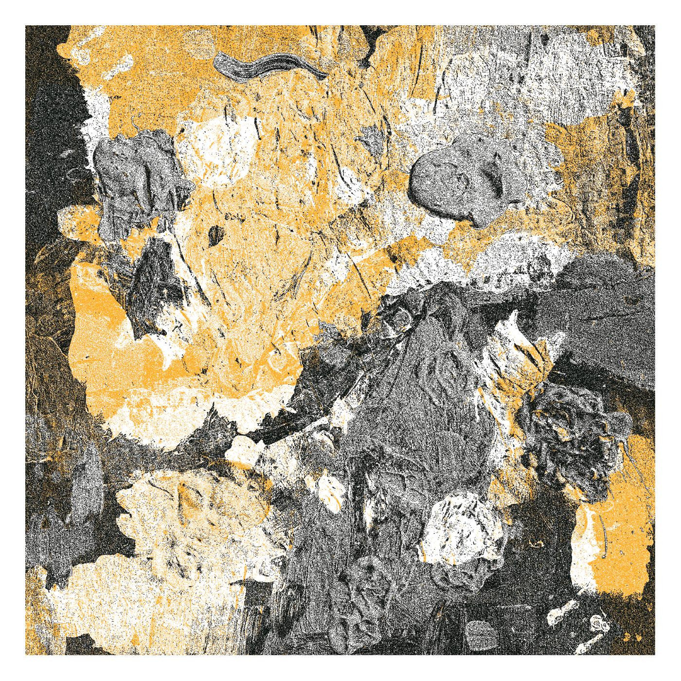 bdrmm - Standard Tuning (Vinyl) | - ALT/INDIE *NEW*