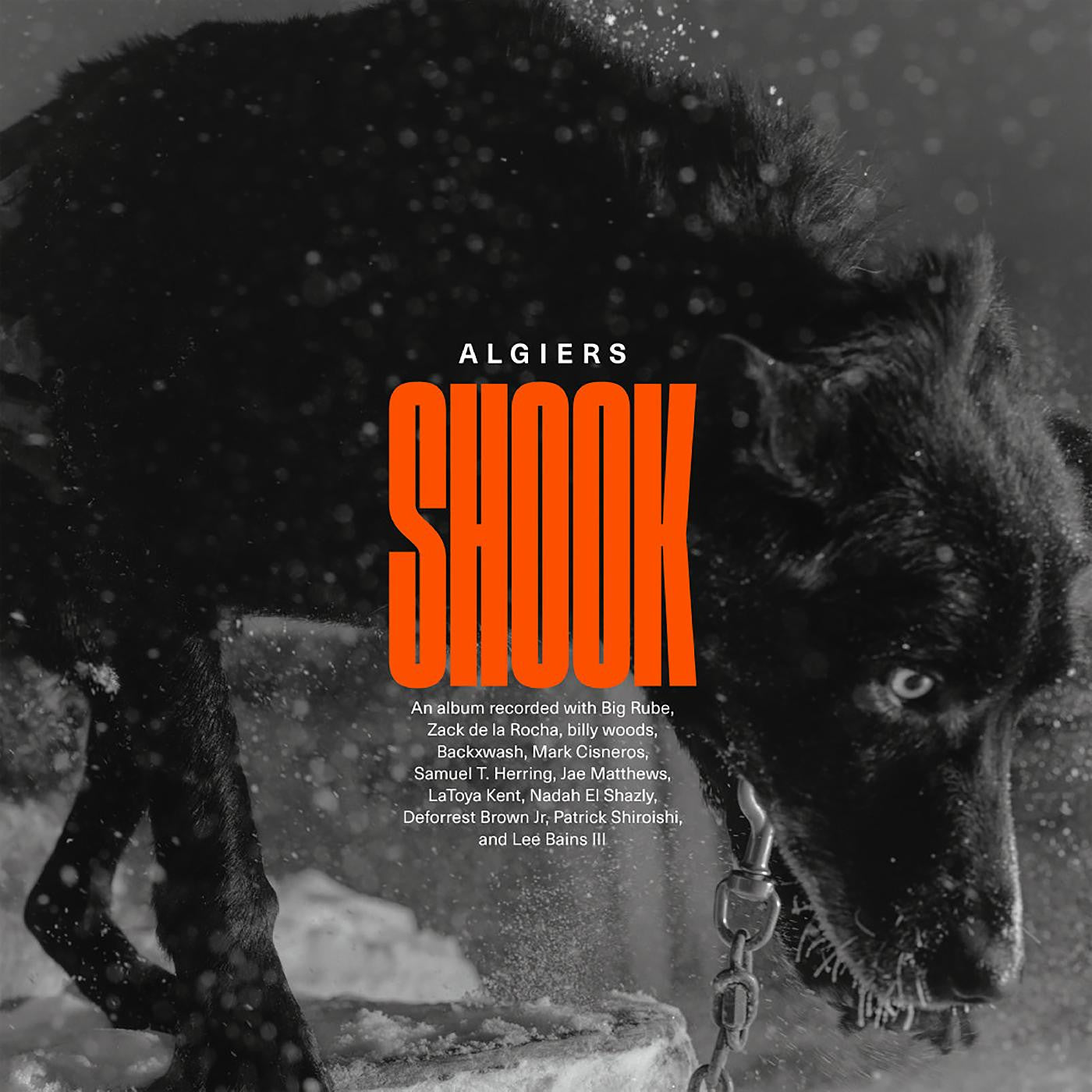 Algiers - Shook (CD) | - ALT/INDIE *NEW*