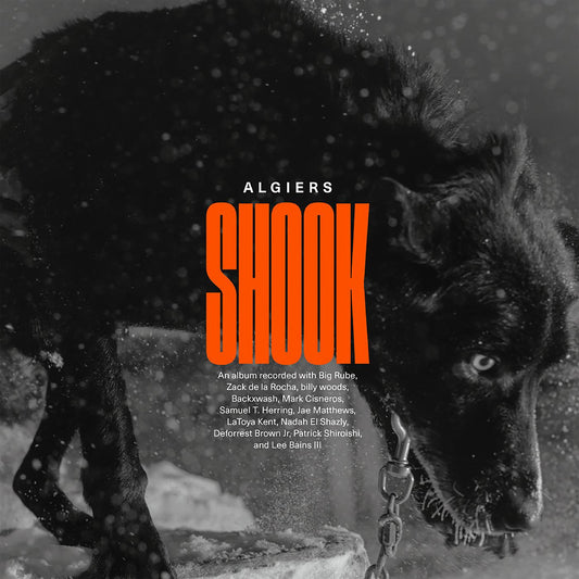 Algiers - Shook (CD) | - ALT/INDIE *NEW*