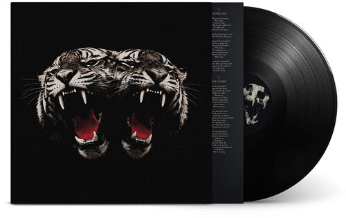 Royal Blood - (PRESALE 11/6/26) Dead Company (VINYL LP) | NEW - ALT/INDIE *NEW*
