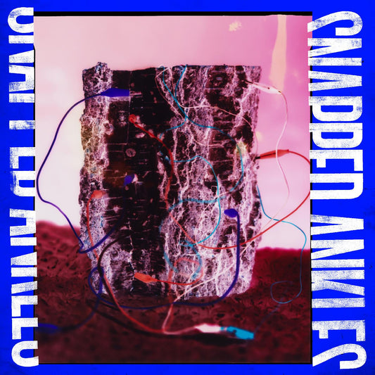 Snapped Ankles - Forest Of Your Problems (CD) | - ALT/INDIE *NEW*