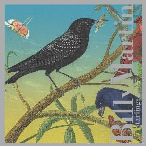 Martin, Billy - Starlings (CD) | Mint Mint - ALT/INDIE *NEW*
