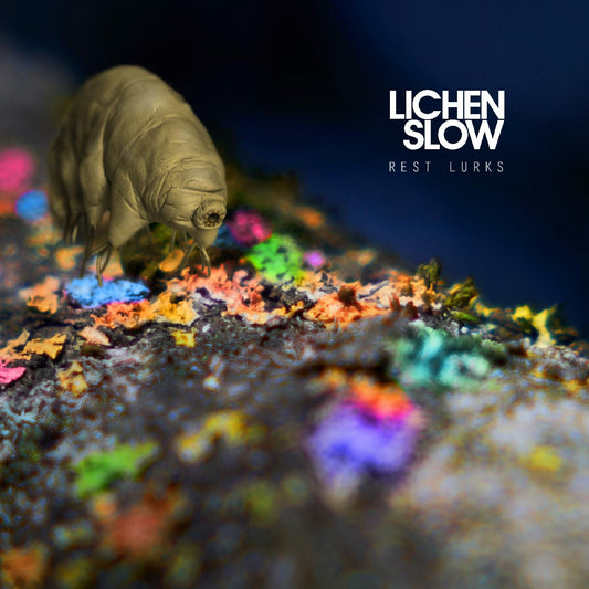 Lichen Slow - Rest Lurks (CD) | - ALT/INDIE *NEW*