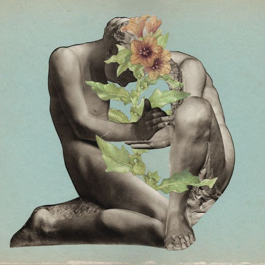 Grayling - Low (CD) | Mint Mint - ALT/INDIE *NEW*