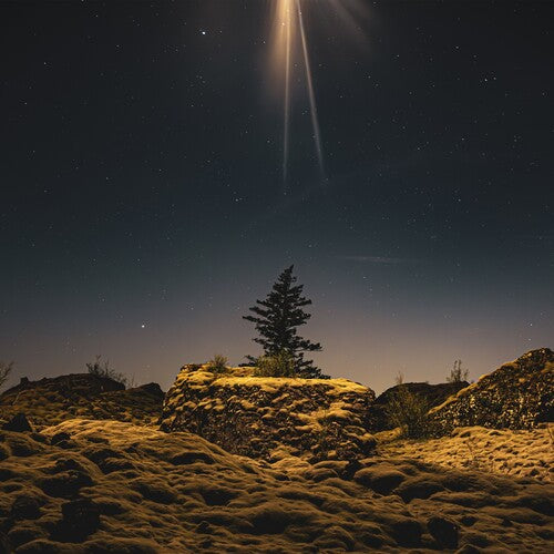 (PRESALE 5/22/26) The Second Coming Was a Moonrise (VINYL) | Mint (M) Mint (M) - ALT/INDIE *NEW*
