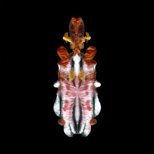 Scraps Of Tape - The Will To Burn (CD) | Mint Mint - ALT/INDIE *NEW*