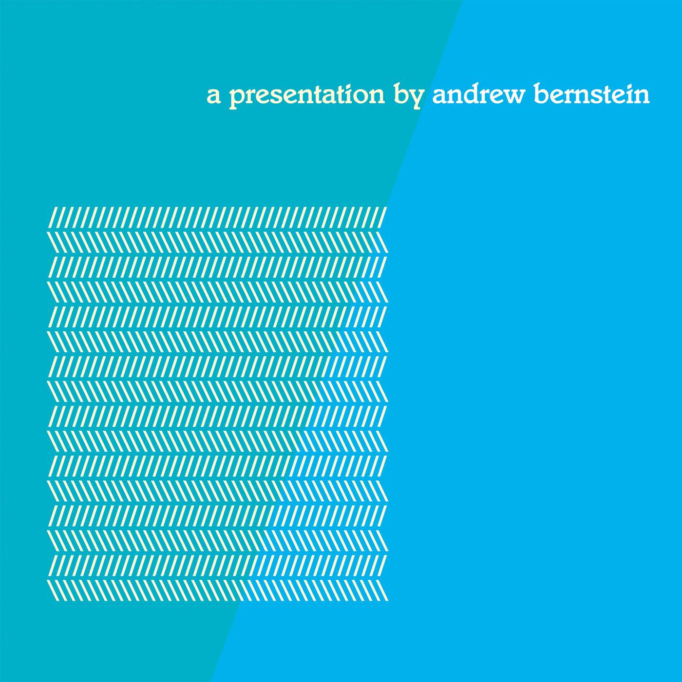 Bernstein, Andrew - a presentation (CD) | - ALT/INDIE *NEW*