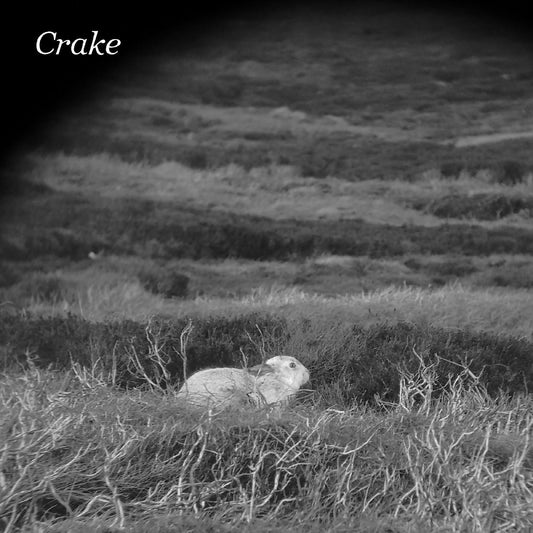 Crake - Enough Salt (For All Dogs) b/w Gef | - ALT/INDIE *NEW*