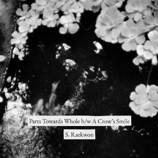 S. Raekwon - Parts Towards Whole b/w A Crow's Smile | - ALT/INDIE *NEW*