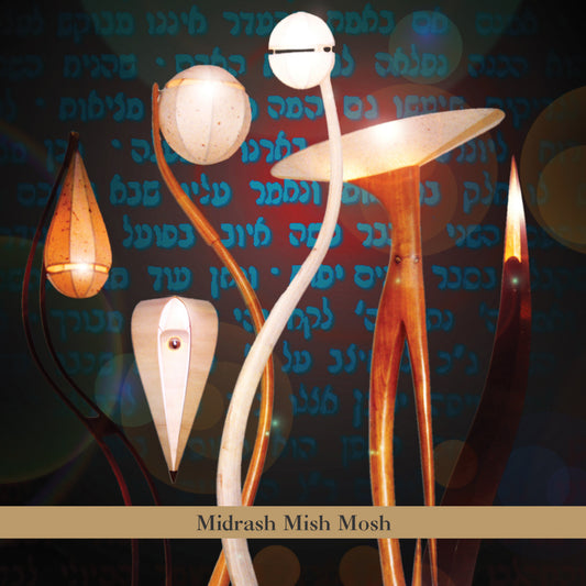 Alexander, Aaron - Midrash Mish Mosh (CD) | Mint (M) Mint (M) - ALT/INDIE *NEW*