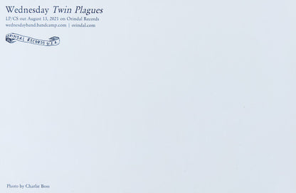 Twin Plagues (VINYL) | Mint (M) Mint (M) - ALT/INDIE *NEW*