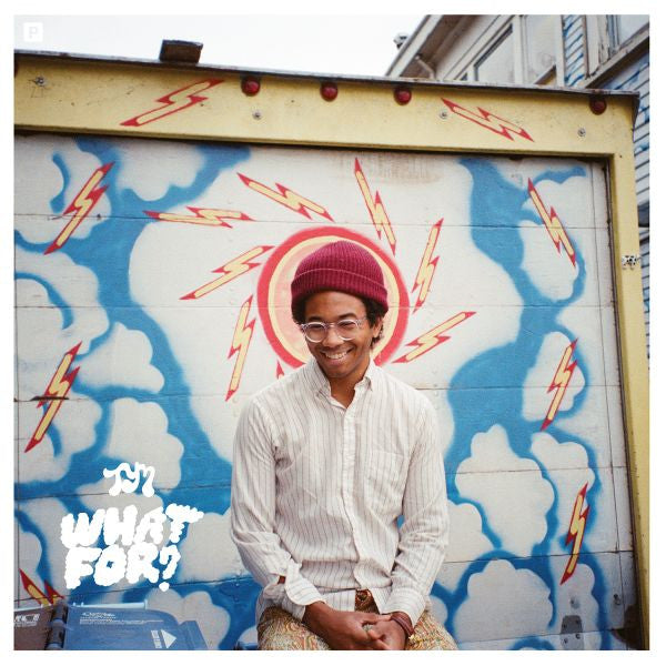 Toro y Moi - What For? (CD) | - ALT/INDIE *NEW*