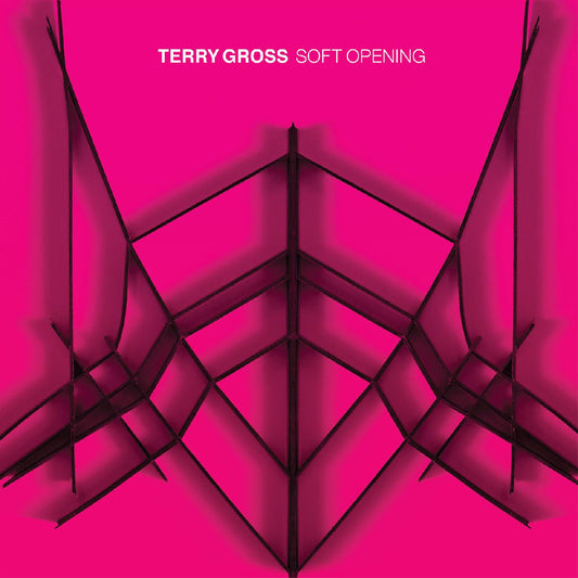 Terry Gross - Soft Opening (TRANSLUCENT BLUE VINYL) (Vinyl) | - ALT/INDIE *NEW*