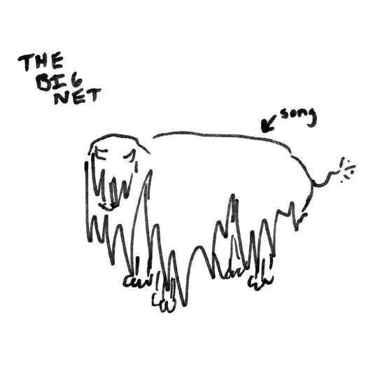 Big Net, The - Big Moon b/w Rufus | - ALT/INDIE *NEW*