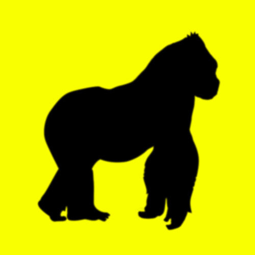 (PRE ORDER 3/27/26) Daisy (VINYL) | - ALT/INDIE *NEW*