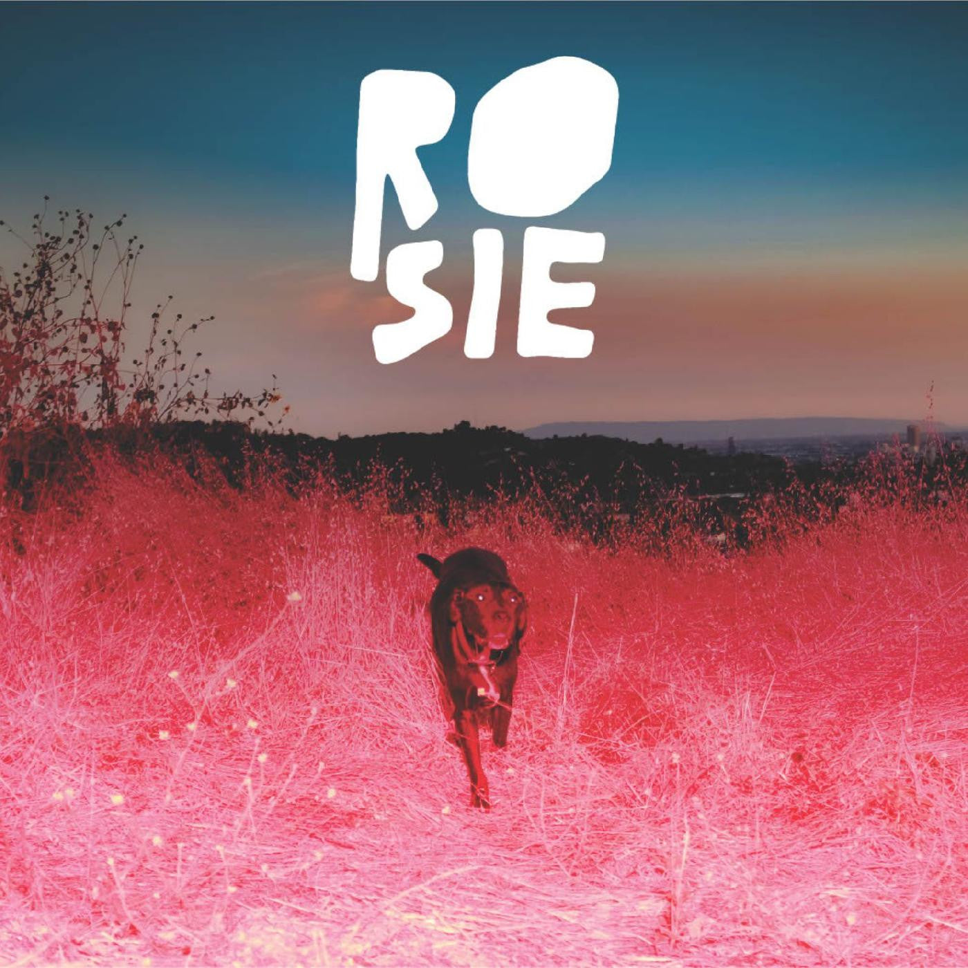 Satterfield, Kaycie - Rosie (ECO-FRIENDLY "ROSIE" RED VINYL) (Vinyl) | Mint (M) Mint (M) - ALT/INDIE *NEW*