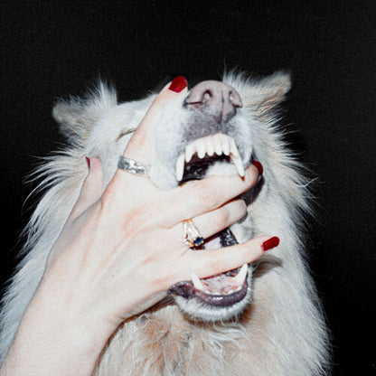 Porch Light - (PRESALE 10/9/26) Hush (VINYL LP) | NEW - ALT/INDIE *NEW*