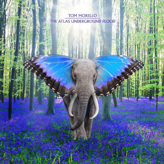 Morello, Tom - The Atlas Underground Flood (CD) | - ALT/INDIE *NEW*