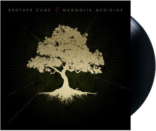 (PRE ORDER 4/17/26) Magnolia Medicine (VINYL) | - ALT/INDIE *NEW*