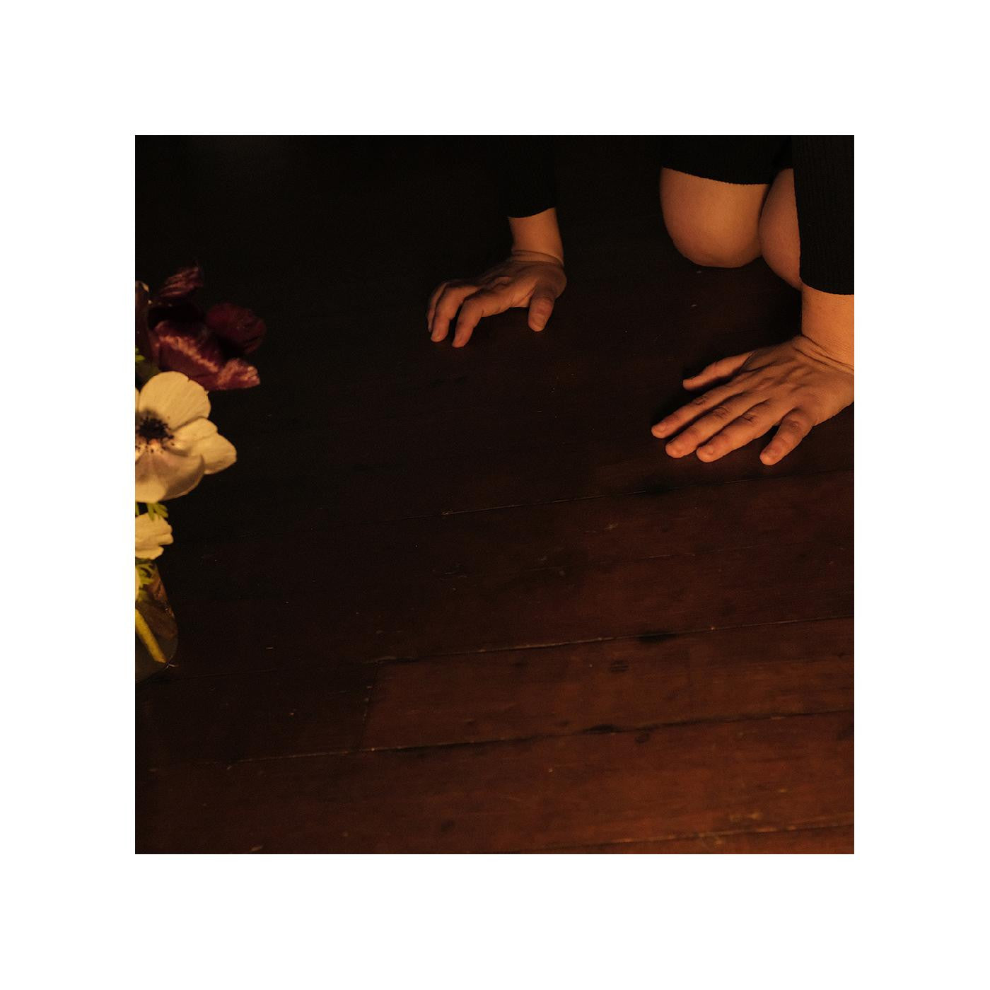 Decker, Sally - In The Tender Dream (CD) | - ALT/INDIE *NEW*