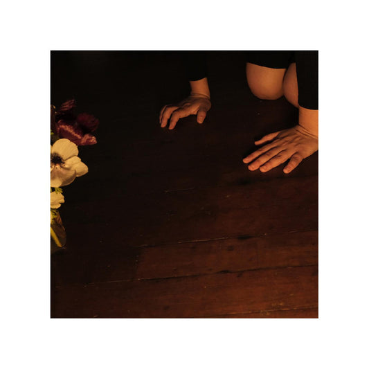 Decker, Sally - In The Tender Dream (CD) | - ALT/INDIE *NEW*