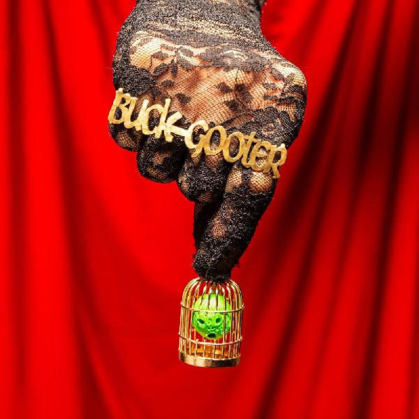 Buck Gooter - Head In A Bird Cage (INDIE EXCLUSIVE, ORANGE SUN VINYL) (Vinyl) | Mint (M) Mint (M) - ALT/INDIE *NEW*