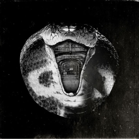 Mommyheads, The - Genius Killer | - ALT/INDIE *NEW*