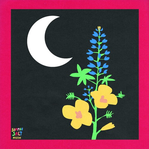 (PRE-ORDER 11/7/25) Reside (VINYL) | Mint (M) Mint (M) - ALT/INDIE *NEW*