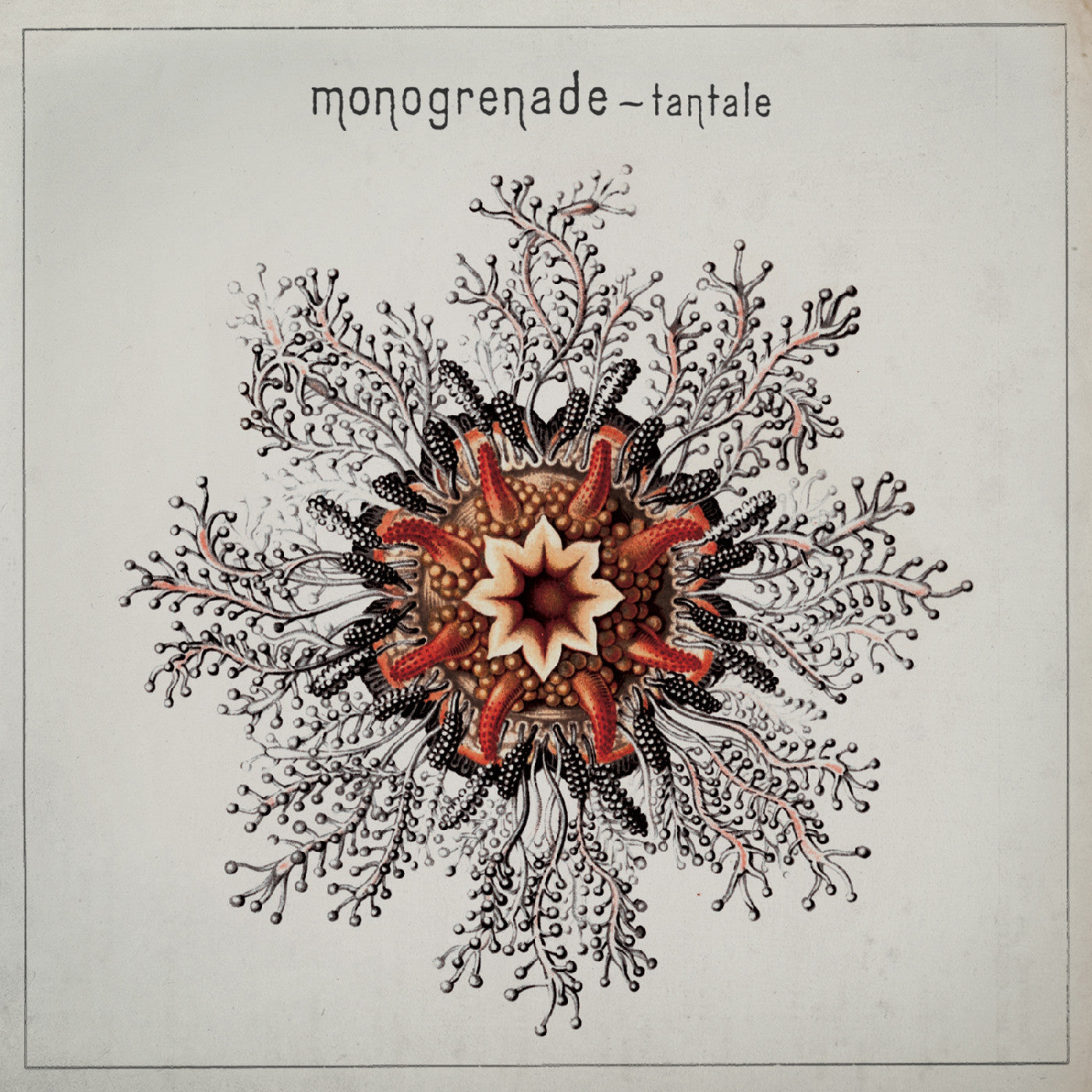Monogrenade - Tantale (CD) | - ALT/INDIE *NEW*