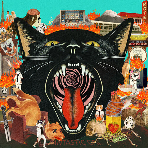 (PRE ORDER 4/10/26) Cat Out Of Hell (VINYL) | - ALT/INDIE *NEW*