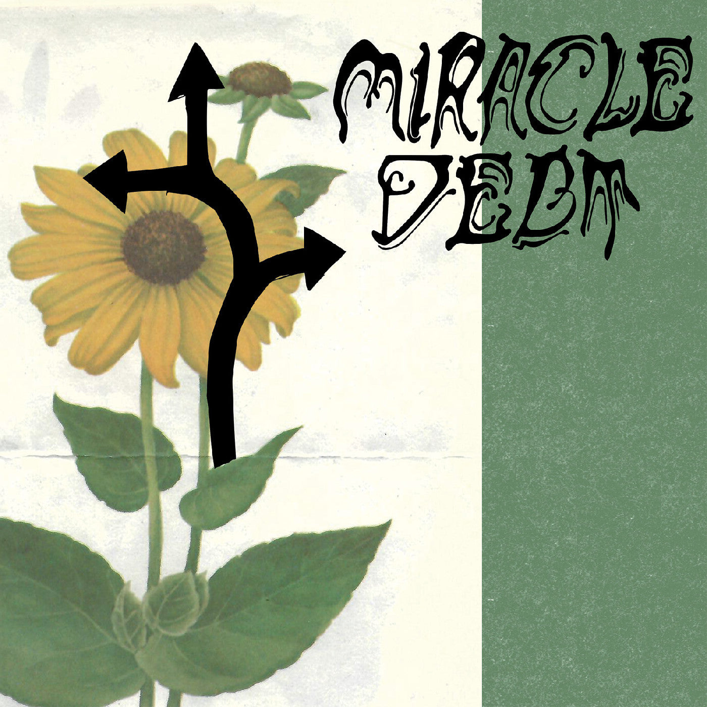 Miracle Debt - Under the Shadow (Vinyl) | - ALT/INDIE *NEW*