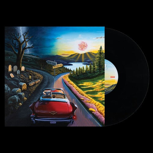 Haywire 617 - (PRESALE 10/2/26) I Don't Wanna Say Goodbye (VINYL LP) | NEW - ALT/INDIE *NEW*