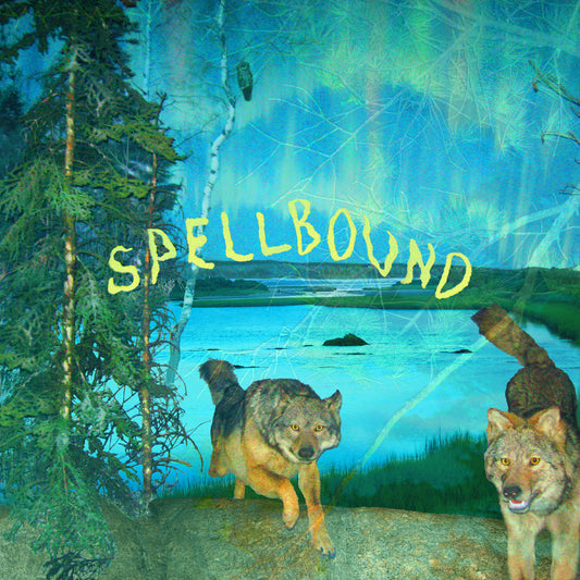 Boyscott - Spellbound (GREEN + YELLOW "AURORA" VINYL) | - ALT/INDIE *NEW*