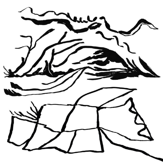 Leonard, Kiran - Real Home | - ALT/INDIE *NEW*