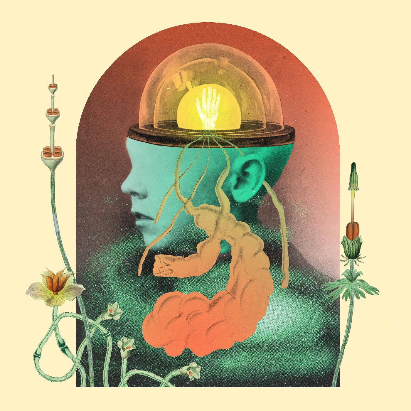 Salami Rose Joe Louis - Akousmatikous (CD) | - ALT/INDIE *NEW*