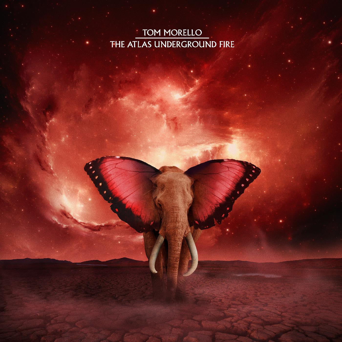 Morello, Tom - The Atlas Underground Fire (CD) | - ALT/INDIE *NEW*