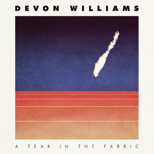 Williams, Devon - A Tear In The Fabric | - ALT/INDIE *NEW*