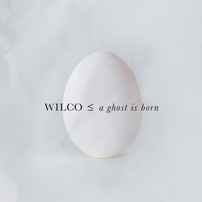 A Ghost Is Born: 20th Anniversary (PRE-ORDER / CD) | Mint (M) Mint (M) - ALT/INDIE *NEW*