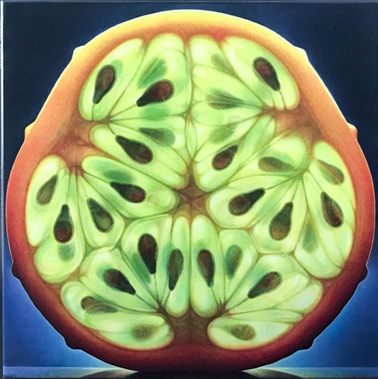 Vinyl Moon Volume 038: Sticky Fruit *SLEEVE ONLY* | Near Mint (NM)