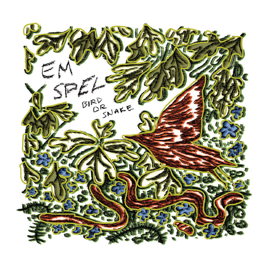 (PRE ORDER 4/03/26) Bird or Snake (VINYL) | - ALT/INDIE *NEW*
