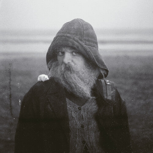 (PRESALE 7/3/26) Role Model Hermit (VINYL) | Mint (M) Mint (M) - ALT/INDIE *NEW*