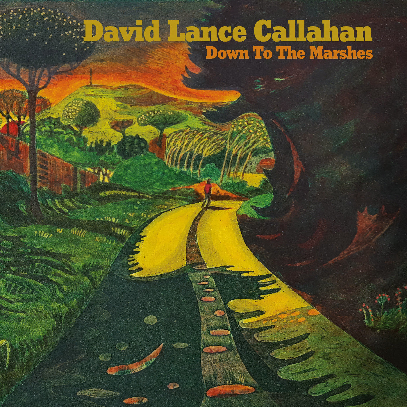 Callahan, David Lance - Down To The Marshes (Vinyl) | Mint (M) Mint (M) - ALT/INDIE *NEW*