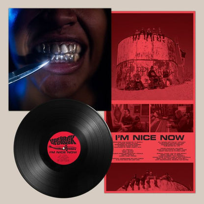 (PRE-ORDER 10/3/25) I'm Nice Now (VINYL) | Mint (M) Mint (M) - ALT/INDIE *NEW*