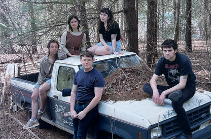 Twin Plagues (VINYL) | Mint (M) Mint (M) - ALT/INDIE *NEW*