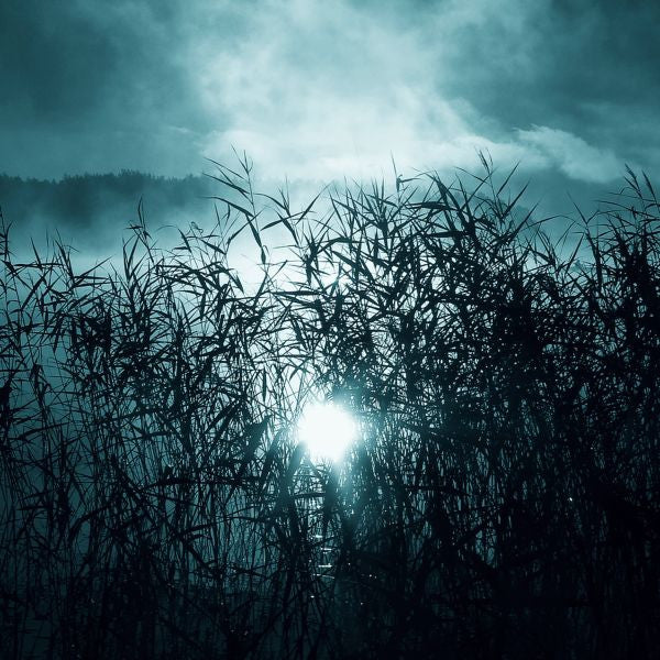 Oneirogen - Hypnos (Vinyl) | Mint (M) Mint (M) - ALT/INDIE *NEW*