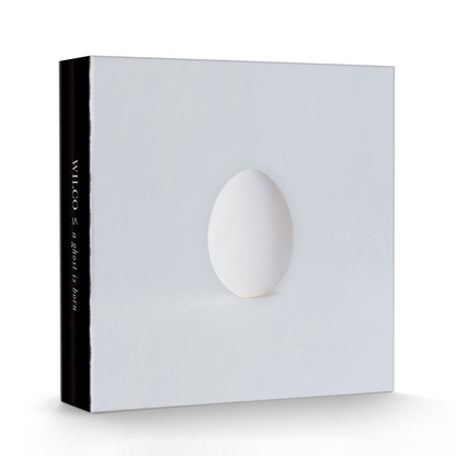 A Ghost Is Born: 20th Anniversary (PRE-ORDER / DLX BOXSET) | Mint (M) Mint (M) - ALT/INDIE *NEW*